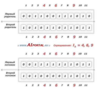 Генетические алгоритмы: трехточечное скрещивание