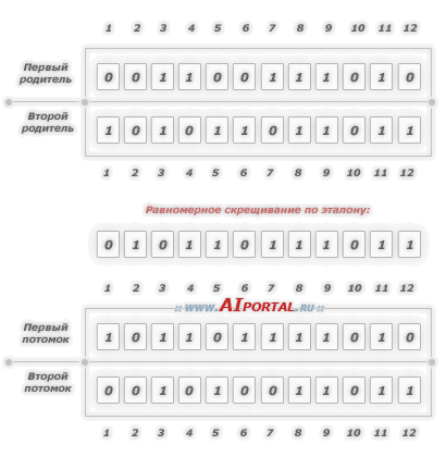 Генетические алгоритмы: равномерное скрещивание