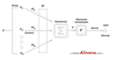 Модель нейрона